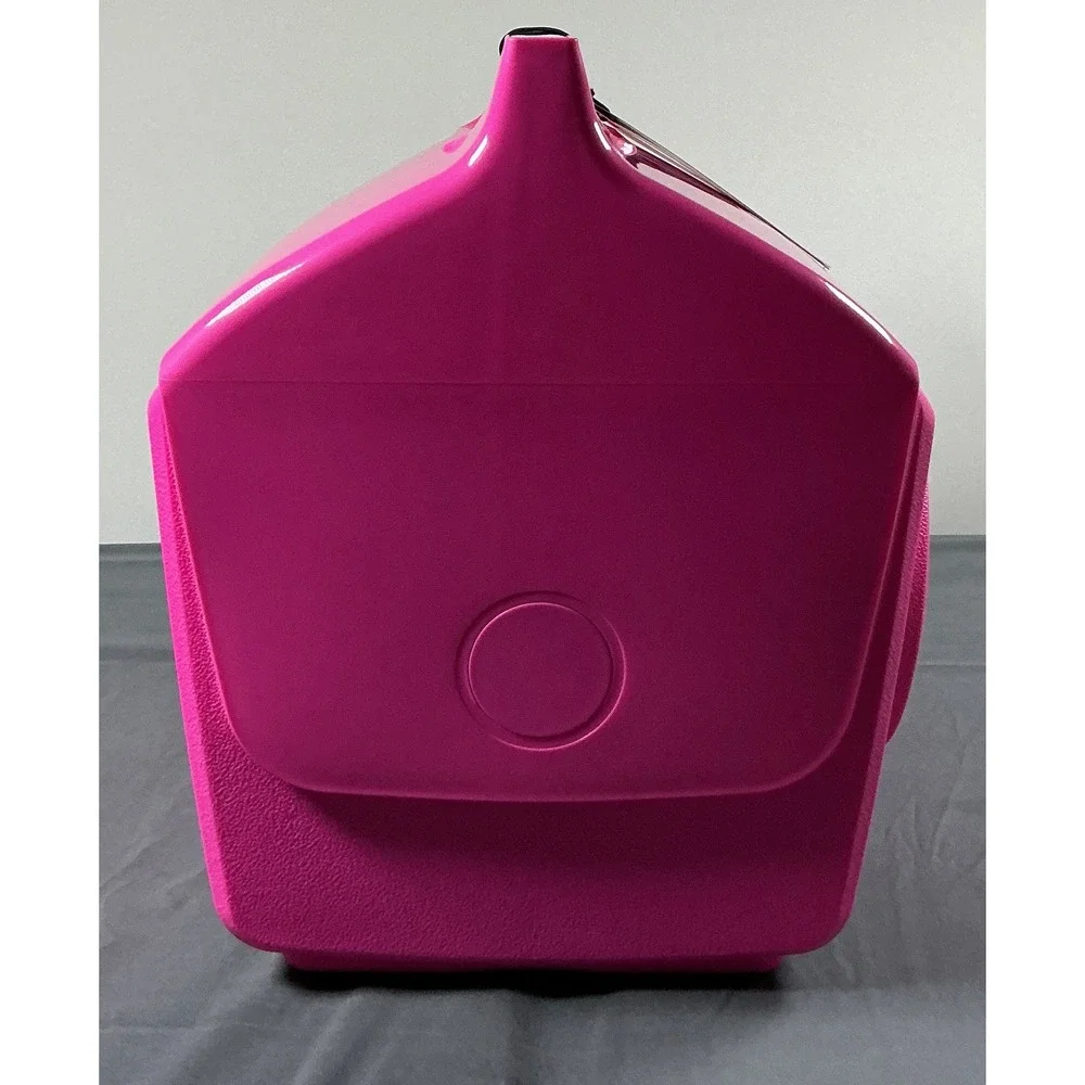 Igloo kooltunes playmate
